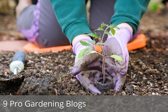 9 pro gardening blogs