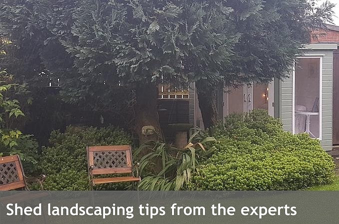 Shed landscaping tips from the experts