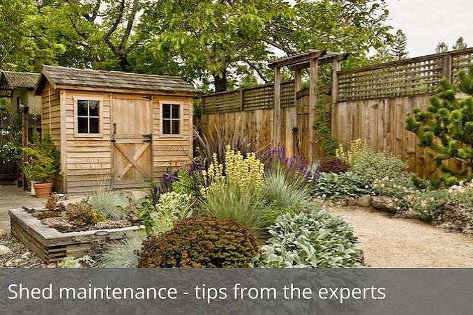 Shed maintenance - tips from the experts
