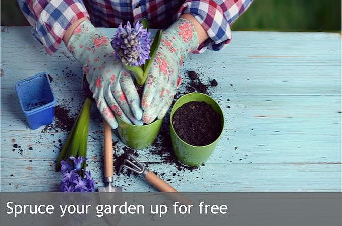 Spruce up your garden for free