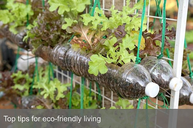 Top tips for eco-friendly living