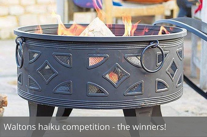 Haiku competition - the winners!
