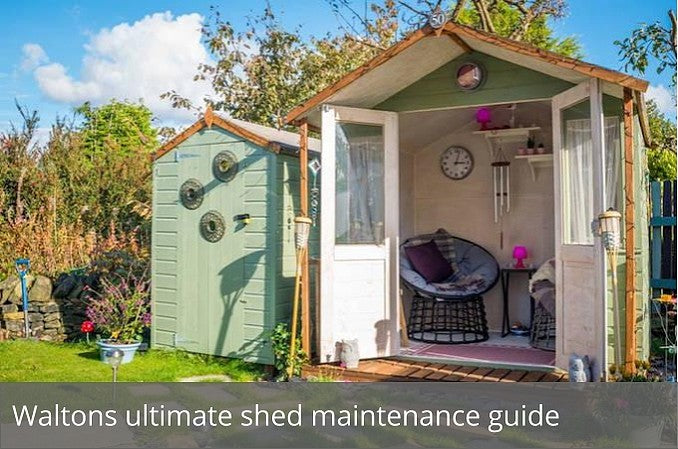 Waltons ultimate shed maintenance guide