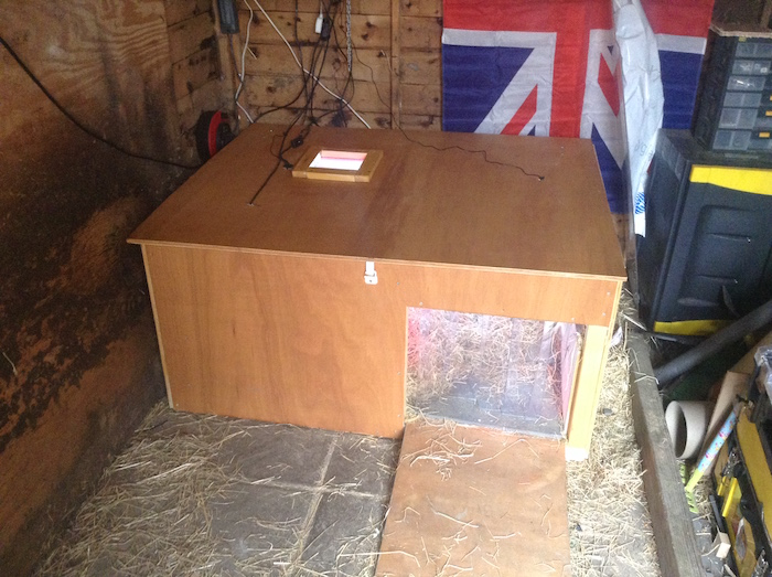 Sheds for pets Waltons Blog Waltons