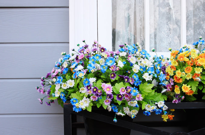 blue and pink flowers in a window box next to yellow and orange flowers