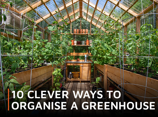 10 clever ways to organise a greenhouse