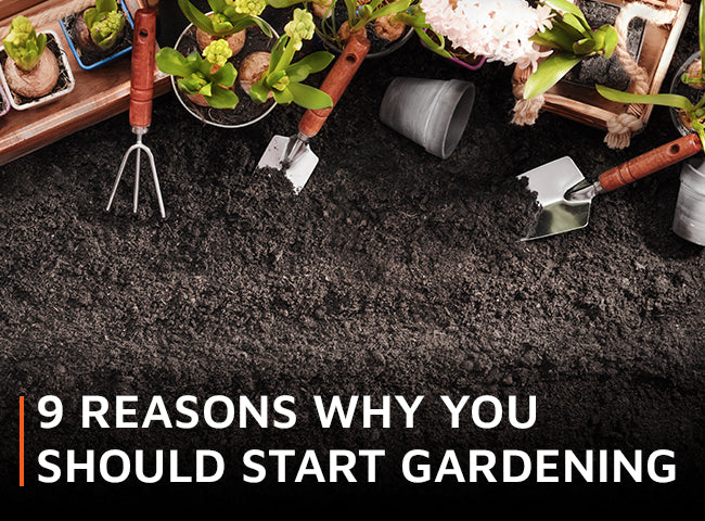 9 reasons why you should start gardening
