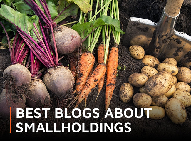 Best blogs about smallholdings
