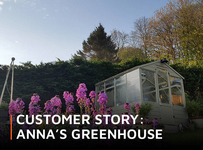 Customer story: Anna's greenhouse