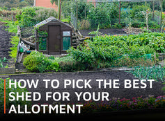 How to pick the best shed for your allotment