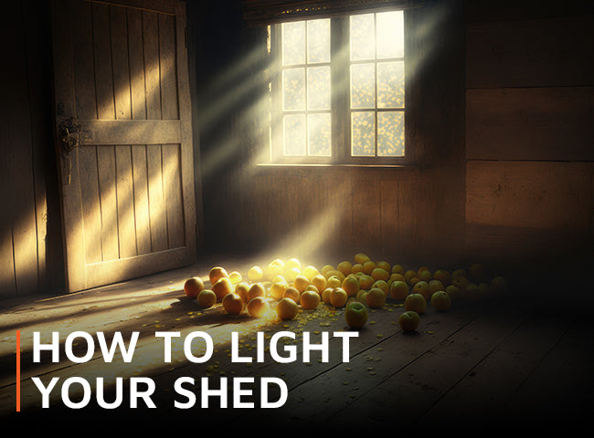 How to light your shed