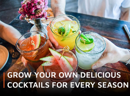 Grow your own delicious cocktails for every season