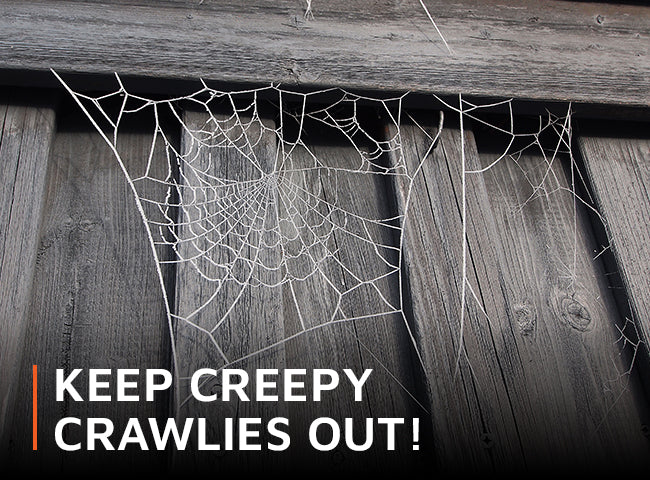 Keep Creepy Crawlies Out!