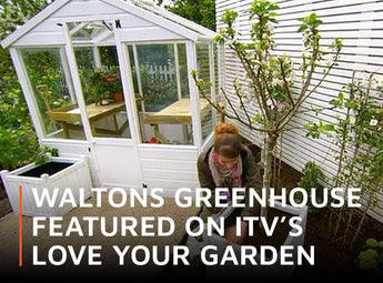 Waltons Greenhouse Featured on ITV’s Love your Garden