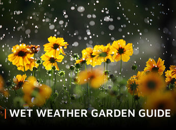Wet Weather Garden Guide