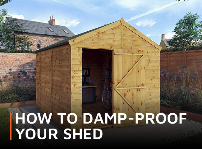 How to damp-proof your shed