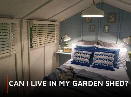 Can I live in my garden shed?