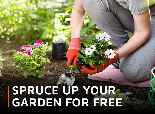 Spruce up your garden for free