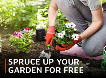 Spruce up your garden for free