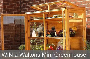 WIN a Waltons Mini Greenhouse