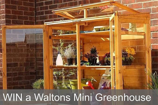 WIN a Waltons Mini Greenhouse