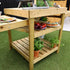 Pressure Treated Pizza Oven and BBQ Table
