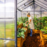 Canopia by Palram 8 x 20 Glory Greenhouse
