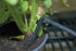 Canopia By Palram Drip Irrigation Kit
