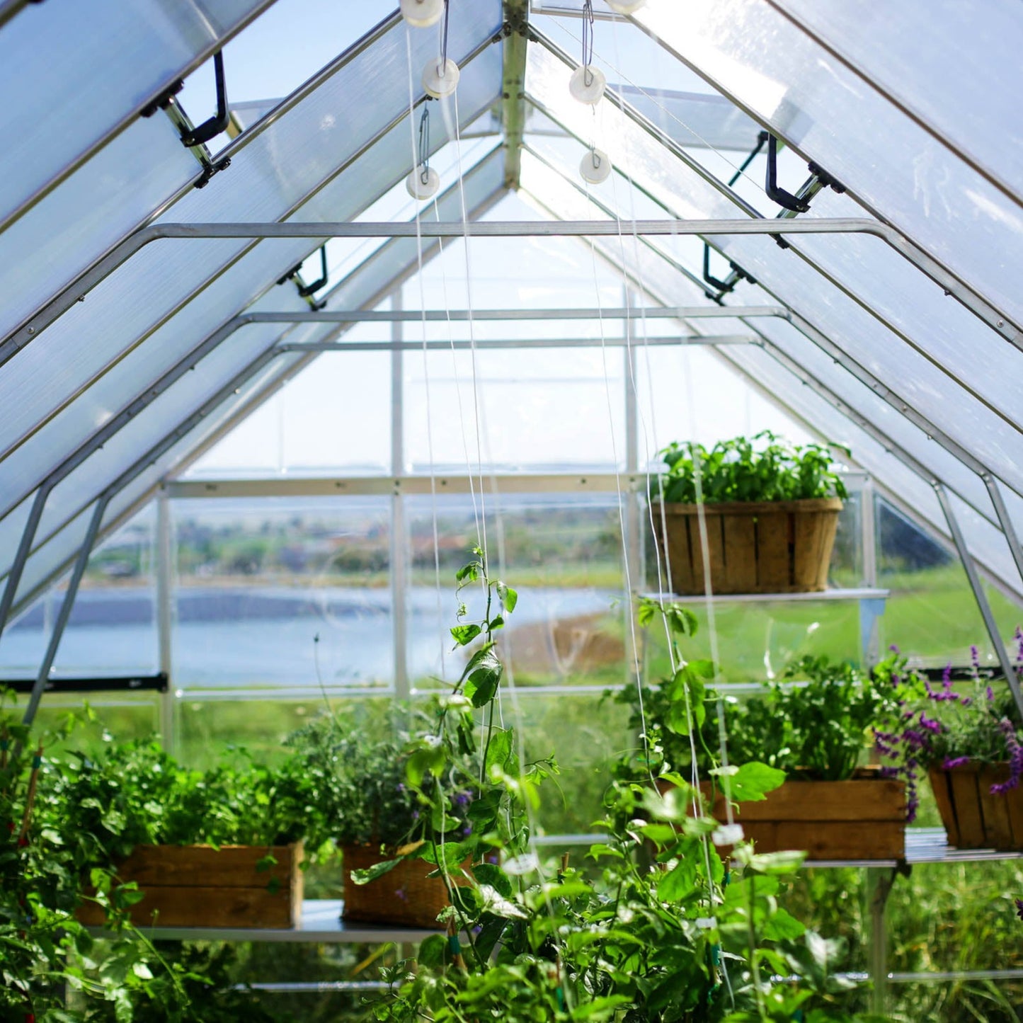 Canopia by Palram 10 x 28 Balance Silver Greenhouse