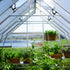 Canopia by Palram 10 x 28 Balance Silver Greenhouse
