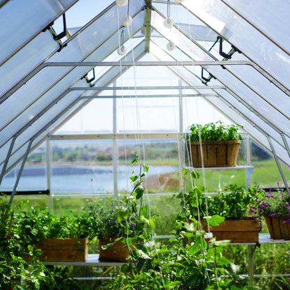 Canopia by Palram 10 x 16 Balance Silver Greenhouse