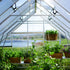 Canopia by Palram 10 x 16 Balance Silver Greenhouse

