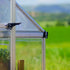 Canopia by Palram 10 x 16 Balance Silver Greenhouse
