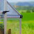 Canopia by Palram 10 x 28 Balance Silver Greenhouse
