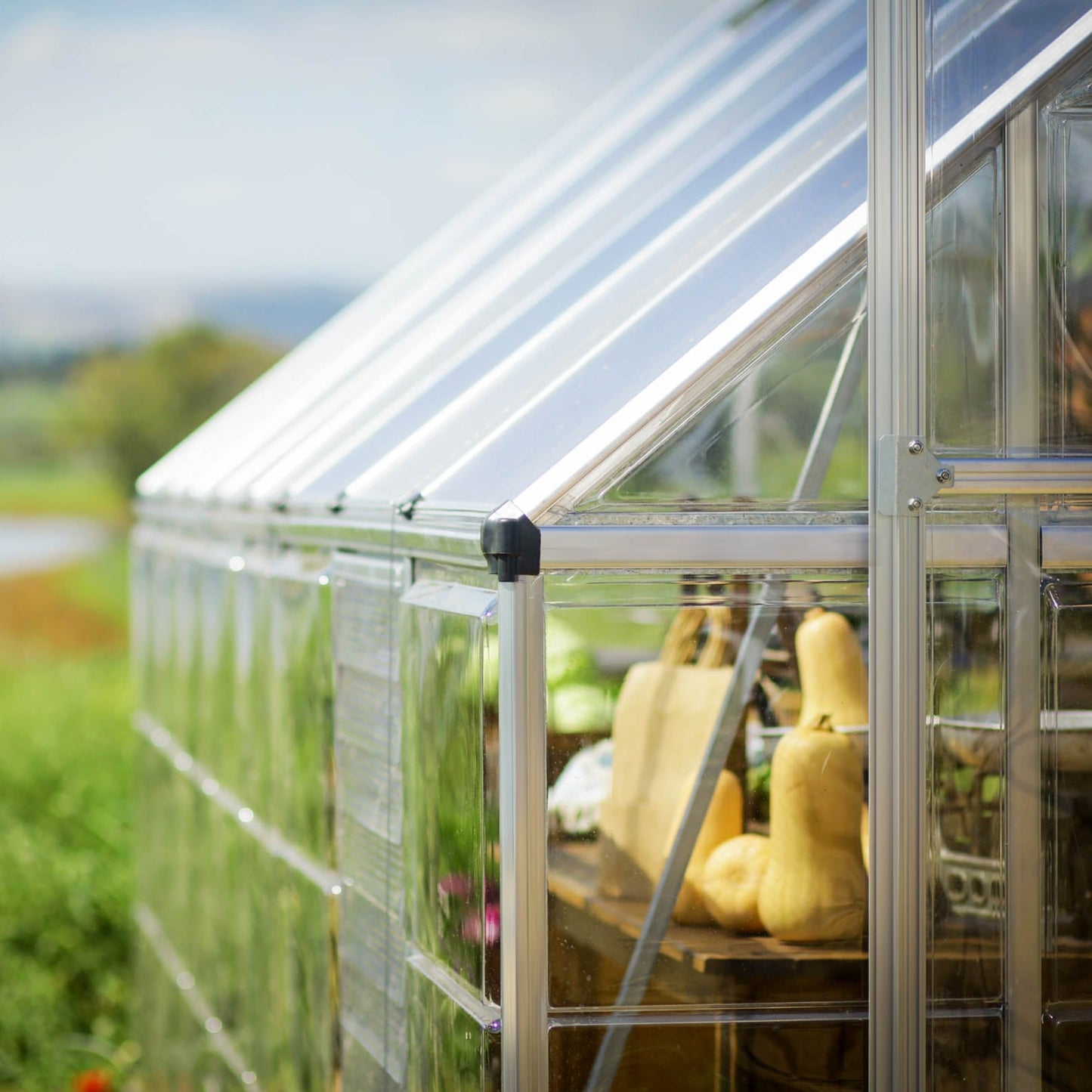Canopia by Palram 10 x 16 Balance Silver Greenhouse