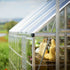 Canopia by Palram 10 x 16 Balance Silver Greenhouse

