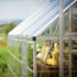 Canopia by Palram 10 x 28 Balance Silver Greenhouse
