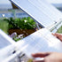 Canopia by Palram 10 x 28 Balance Silver Greenhouse

