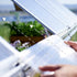 Canopia by Palram 10 x 24 Balance Silver Greenhouse
