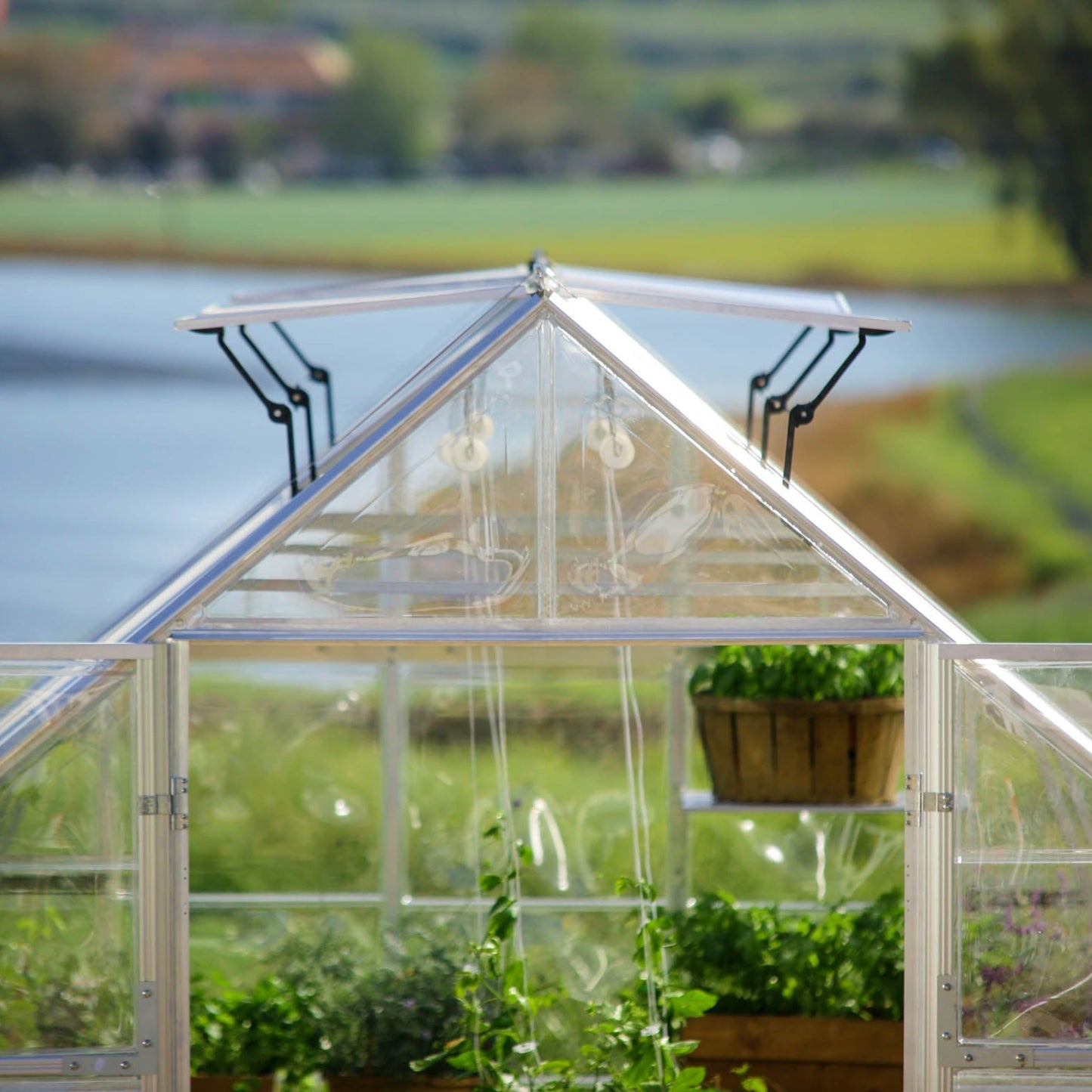 Canopia by Palram 10 x 16 Balance Silver Greenhouse