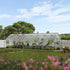 Canopia by Palram 10 x 32 Balance Silver Greenhouse
