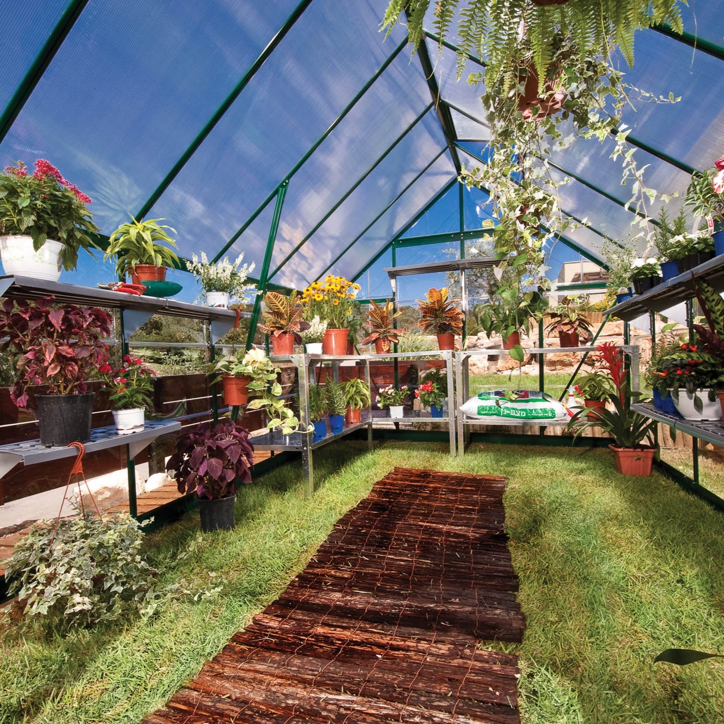 Canopia by Palram 8 x 12 Balance Green Greenhouse