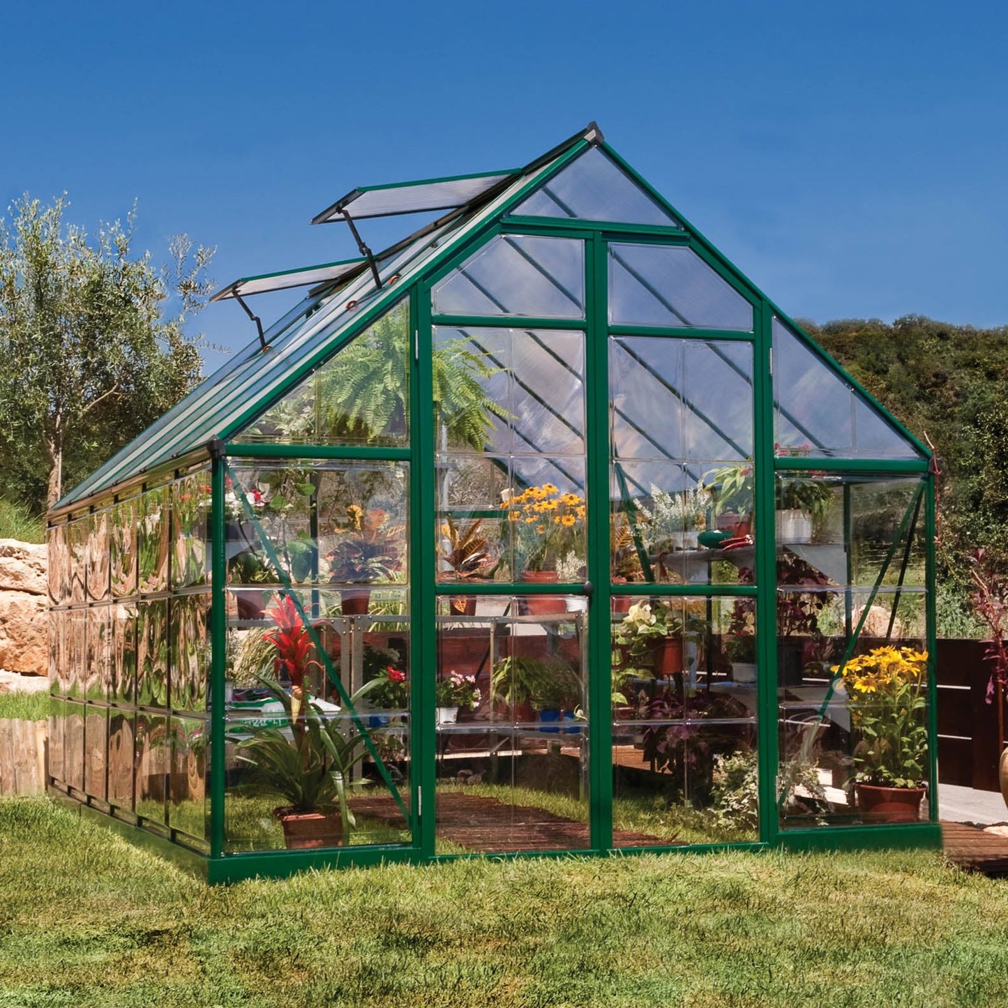 Canopia by Palram 8 x 12 Balance Green Greenhouse