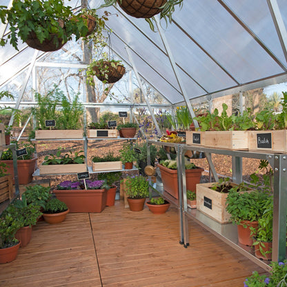 Canopia by Palram 8 x 8 Balance Silver Greenhouse
