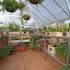 Canopia by Palram 8 x 8 Balance Silver Greenhouse
