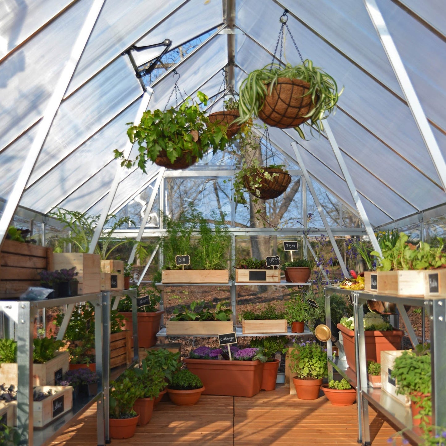 Canopia by Palram 8 x 12 Balance Silver Greenhouse