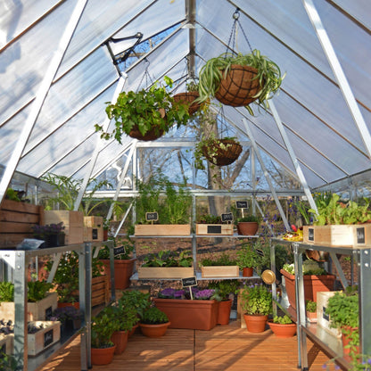 Canopia by Palram 8 x 12 Balance Silver Greenhouse