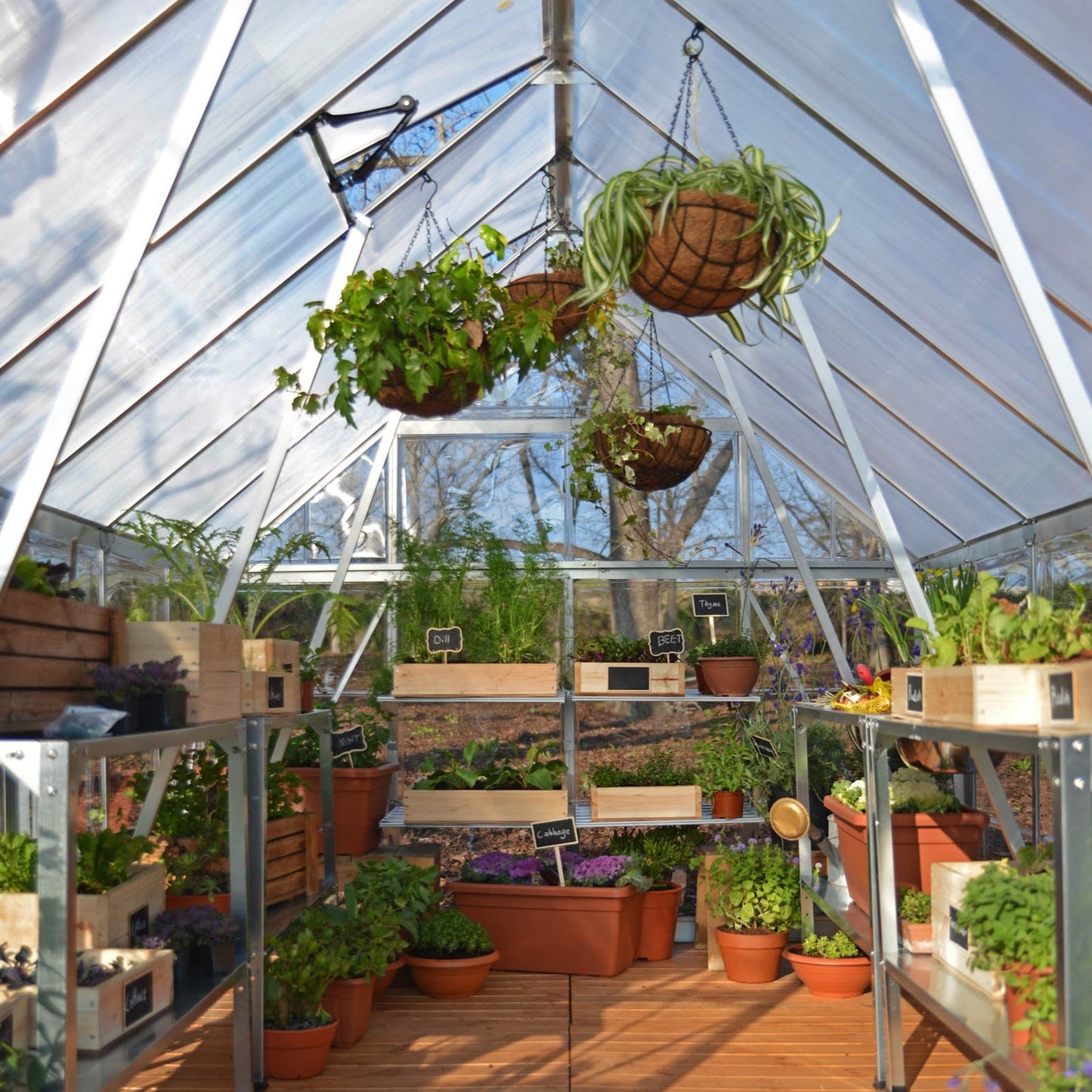 Canopia by Palram 8 x 8 Balance Silver Greenhouse