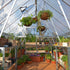 Canopia by Palram 8 x 12 Balance Silver Greenhouse
