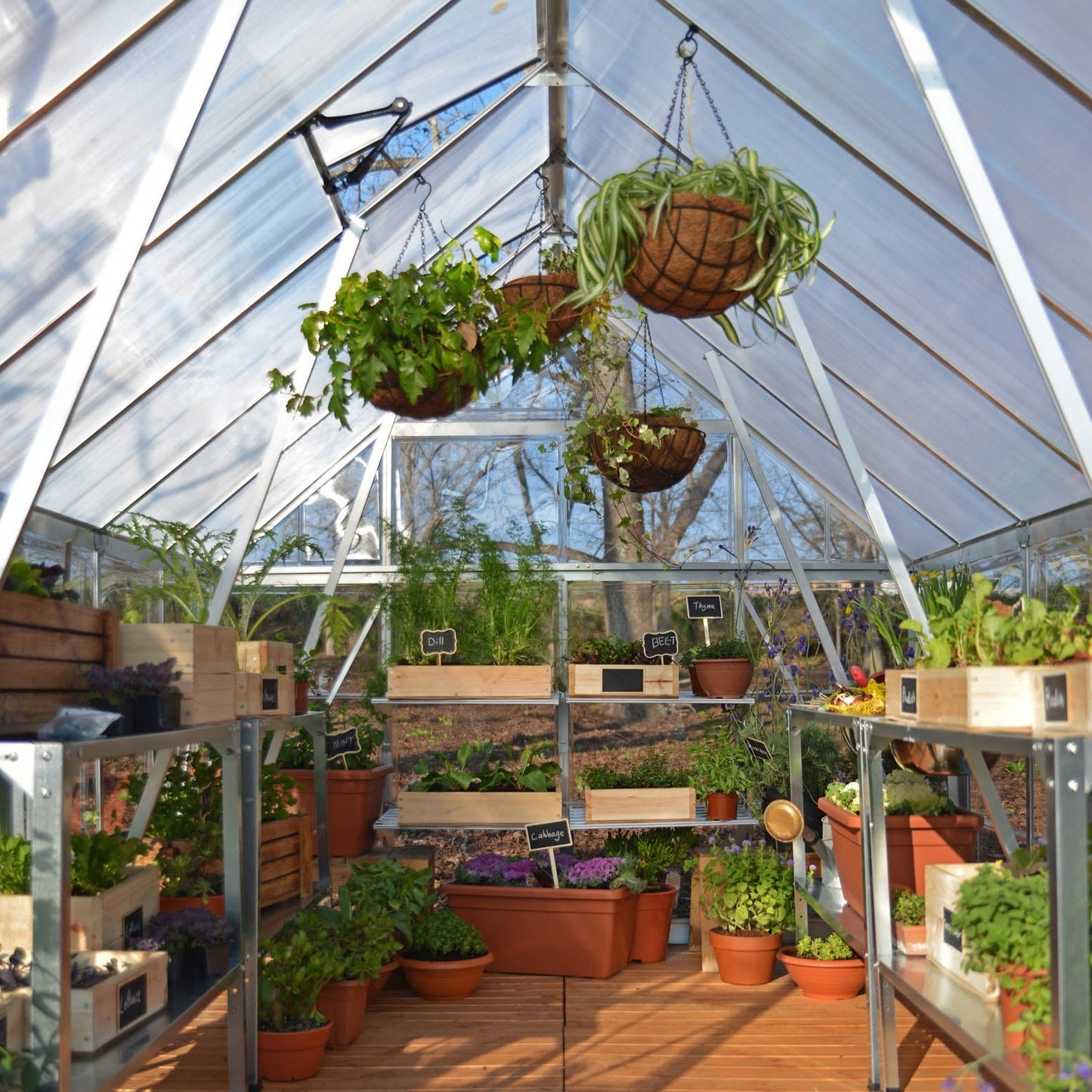 Canopia by Palram 8 x 16 Balance Silver Greenhouse